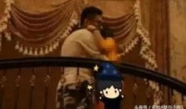 哥哥爆料王宝强视频播放,哥哥爆料背后的真相